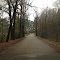 little road