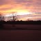 Sunset from the Poor Farm Mansfield Louisiana 1
