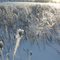 Frozen field