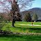 Preston CC