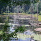 McClintic pond