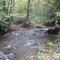 BigLaurelCreek