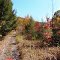 BigDitchTrail