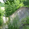 Swine Creek