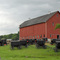 Amish buggy parking