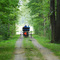 Amish lane
