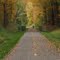 Maple Highland Bike Trail
