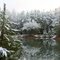 Winter Pond