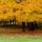 [Untitled]