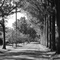 Mayview Road