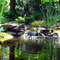 Mark's backyard