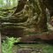 Rock Formation