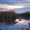 Sunrise At The Blind