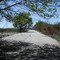 abandoned stretch of Route 66, looking west