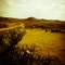 The wild wild west