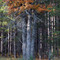 The Three Trees