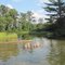 The Cut River, Higgins Lake, Gerrish Township, MI