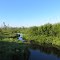 Hudson Creek