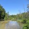 Cut River in summer
