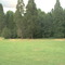 The pond