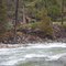 Confluence of North Fork and South Fork Rough and Ready Creek