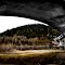 Under the Bridge