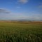 On the Columbia Plateau...