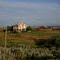 Ranch House..