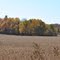 Rural Dunn County, WI