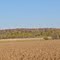 Rural Dunn County, WI