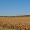 Rural Dunn County, WI