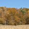 Rural Dunn County, WI