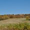 Rural Dunn County, WI