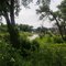 Tongue River