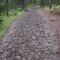 Pack Trail - The Bob