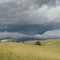 Wildlife Road, Custer State park