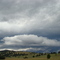 Custer State Park