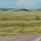 Custer State Park_paysage de la Wildlife Loop Road