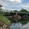 Ironwood Road Turkey River Bridge