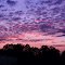 Nov. 18th, 2009. Starke, FL