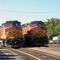 Trains at Thayer MO