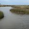 Poplar River below oil storage tanks (USGA PR-5) PR-R-PR-051 September 4th, 2013 11:41:10 AM
