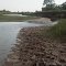 Poplar River - South PR-R-PR-008 (Downstream)