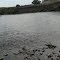 Poplar River below Badger Creek PR-R-PR-052 Upstream "Blue Eyes Kirn"