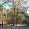 Uwharrie National Forest