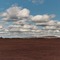 Autumn Blueberry Barren