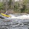 Small drop in Narraguagus