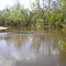 The Nature Conservancy of Texas-Roy Larsen SandyLand Sanctuary on Village Creek