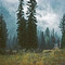 Greys River Canyon rain. Salt River Range