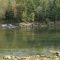 Falls Mill pond